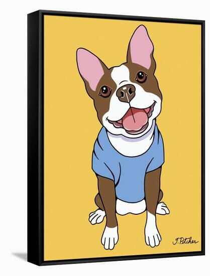 Boston Terrier Seal-Tomoyo Pitcher-Framed Stretched Canvas