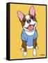 Boston Terrier Seal-Tomoyo Pitcher-Framed Stretched Canvas