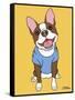 Boston Terrier Seal-Tomoyo Pitcher-Framed Stretched Canvas
