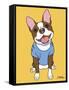 Boston Terrier Seal-Tomoyo Pitcher-Framed Stretched Canvas