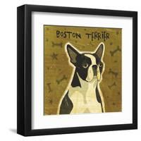 Boston Terrier (square)-John W^ Golden-Framed Art Print