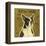 Boston Terrier (square)-John W^ Golden-Framed Art Print