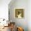 Boston Terrier (square)-John W^ Golden-Art Print displayed on a wall