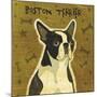 Boston Terrier (square)-John W^ Golden-Mounted Art Print