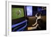 Boston Terrier Watching Dogs on Television-null-Framed Photographic Print