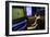 Boston Terrier Watching Dogs on Television-null-Framed Photographic Print