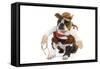 Boston Terrier Wearing Cowboy Outfit-null-Framed Stretched Canvas