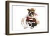 Boston Terrier Wearing Cowboy Outfit-null-Framed Photographic Print