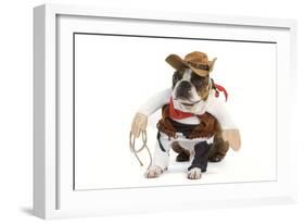 Boston Terrier Wearing Cowboy Outfit-null-Framed Photographic Print