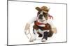 Boston Terrier Wearing Cowboy Outfit-null-Mounted Photographic Print