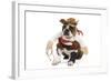 Boston Terrier Wearing Cowboy Outfit-null-Framed Photographic Print