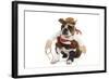 Boston Terrier Wearing Cowboy Outfit-null-Framed Photographic Print