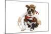 Boston Terrier Wearing Cowboy Outfit-null-Mounted Photographic Print