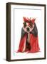 Boston Terrier Wearing Fancy Dress-null-Framed Photographic Print