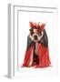 Boston Terrier Wearing Fancy Dress-null-Framed Photographic Print