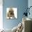 Boston Terrier with Mastiff Dog-null-Mounted Photographic Print displayed on a wall