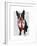 Boston Terrier with Red Tie and Moustache-Fab Funky-Framed Art Print