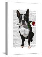 Boston Terrier with Rose in Mouth-Fab Funky-Stretched Canvas