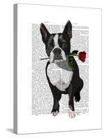 Boston Terrier with Rose in Mouth-Fab Funky-Stretched Canvas