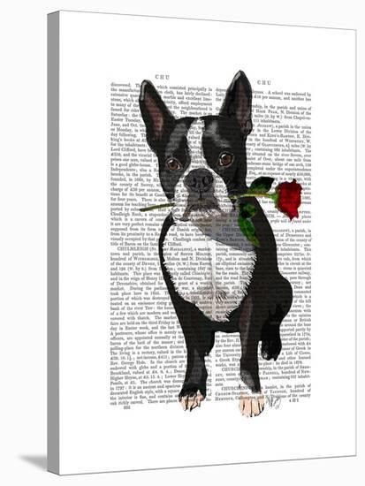 Boston Terrier with Rose in Mouth-Fab Funky-Stretched Canvas