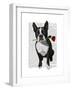 Boston Terrier with Rose in Mouth-Fab Funky-Framed Premium Giclee Print