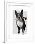 Boston Terrier with Rose in Mouth-Fab Funky-Framed Art Print