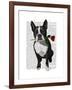 Boston Terrier with Rose in Mouth-Fab Funky-Framed Art Print