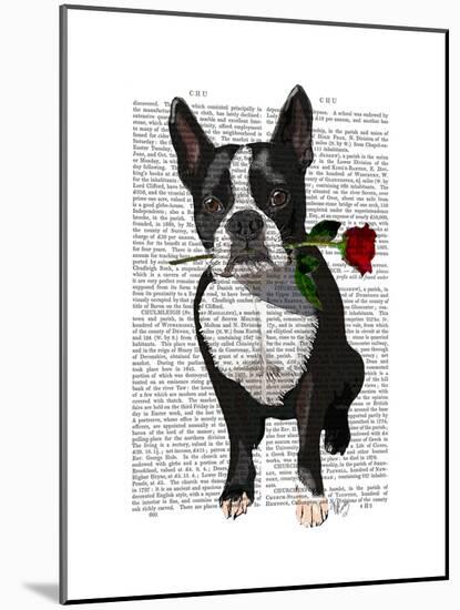 Boston Terrier with Rose in Mouth-Fab Funky-Mounted Art Print