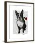 Boston Terrier with Rose in Mouth-Fab Funky-Framed Art Print