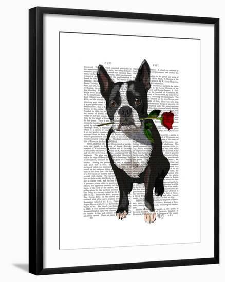 Boston Terrier with Rose in Mouth-Fab Funky-Framed Art Print