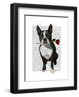Boston Terrier with Rose in Mouth-Fab Funky-Framed Art Print