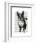 Boston Terrier with Rose in Mouth-Fab Funky-Framed Art Print