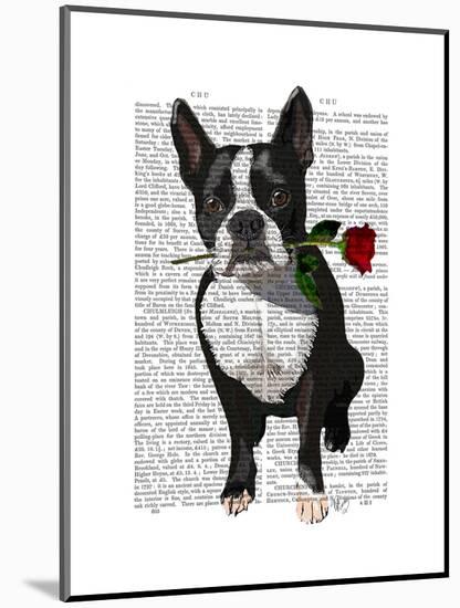 Boston Terrier with Rose in Mouth-Fab Funky-Mounted Art Print