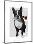 Boston Terrier with Rose in Mouth-Fab Funky-Mounted Art Print