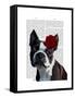 Boston Terrier with Rose on Head-Fab Funky-Framed Stretched Canvas