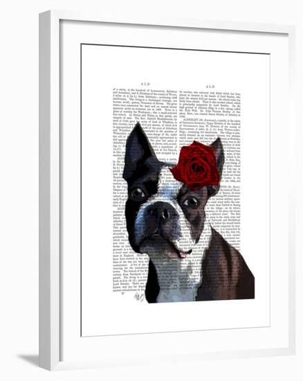 Boston Terrier with Rose on Head-Fab Funky-Framed Art Print