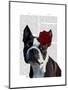 Boston Terrier with Rose on Head-Fab Funky-Mounted Art Print