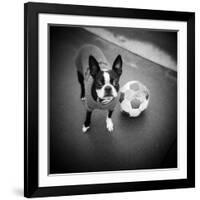 Boston Terrier with Soccer Ball-Theo Westenberger-Framed Photographic Print