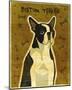 Boston Terrier-John Golden-Mounted Art Print
