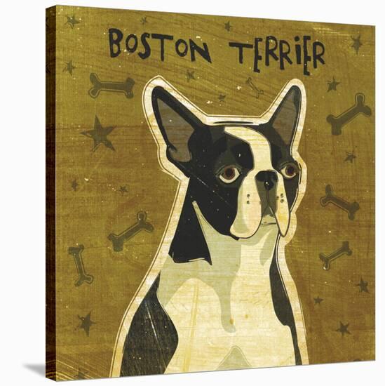 Boston Terrier-John Golden-Stretched Canvas