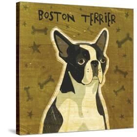 Boston Terrier-John Golden-Stretched Canvas