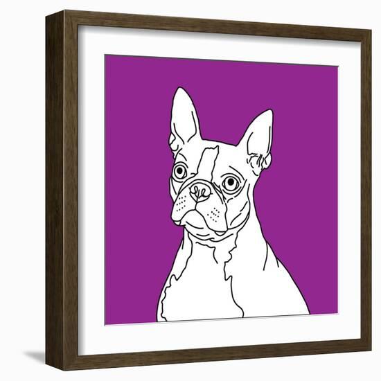 Boston Terrier-Anna Nyberg-Framed Art Print