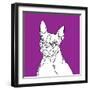 Boston Terrier-Anna Nyberg-Framed Art Print