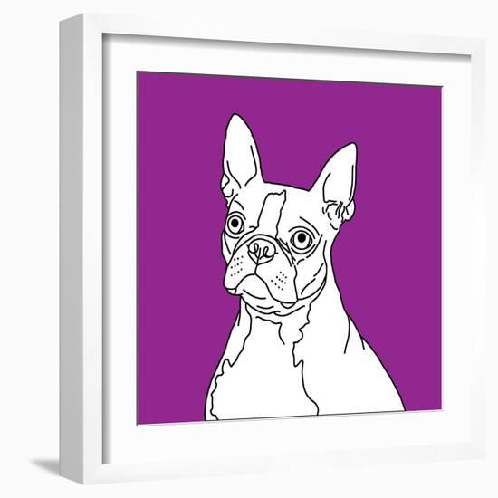 Boston Terrier-Anna Nyberg-Framed Art Print