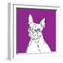 Boston Terrier-Anna Nyberg-Framed Art Print