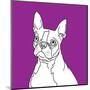 Boston Terrier-Anna Nyberg-Mounted Art Print