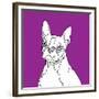 Boston Terrier-Anna Nyberg-Framed Giclee Print