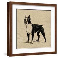 Boston Terrier-Sabine Berg-Framed Art Print