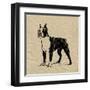 Boston Terrier-Sabine Berg-Framed Art Print