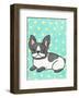 Boston Terrier-My Zoetrope-Framed Giclee Print